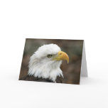 American Bald Eagle 2 Greeting Card