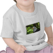American Bald Eagle Baby T-Shirt