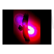American Bald Eagle Cards