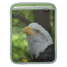 American Bald Eagle iPad Sleeve