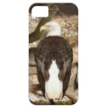 American bald eagle casemate cases