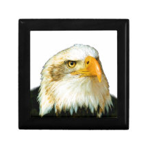 American Bald Eagle Keepsake Box