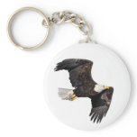 American bald Eagle Keychain