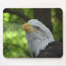 American Bald Eagle Mouse Pad