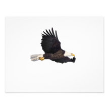 American Bald eagle Personalized Invitation