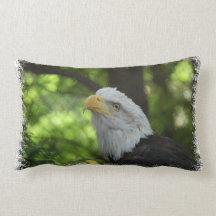 American Bald Eagle Pillow