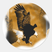 American Bald Eagle Round Stickers