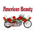 american beauty-1 postcards