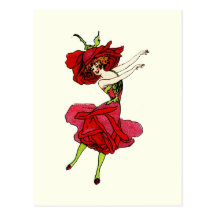 American Beauty Rose Postcard