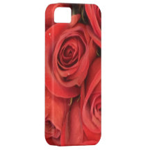 American Beauty Rose - who needs a gift box iPhone 5 Case