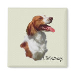 American Brittany Spaniel Gifts Refrigerator Magnets