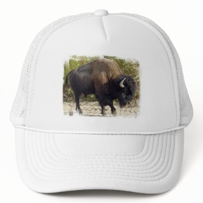American Buffalo Baseball Cap Trucker Hat by WildlifeAnimals