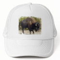 American Buffalo Baseball Cap hats