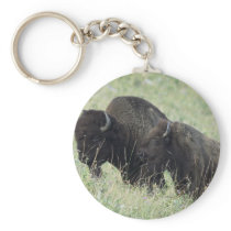 American Buffalo Key Chain