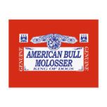 American Bull Molosser Post Cards