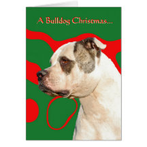 American Bulldog Cards