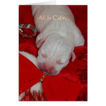 American Bulldog Puppy Card