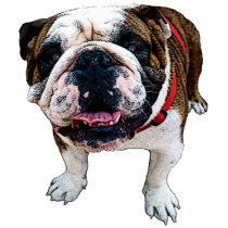 American Bulldog Sculpture Photo Sculpture