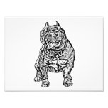 American Bully Dog Photo Art