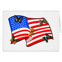 American Butterflys Cards