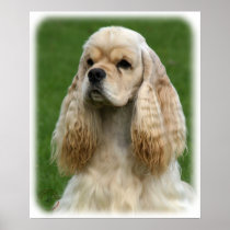 American Cocker Spaniel 9Y244D-035_2 Print