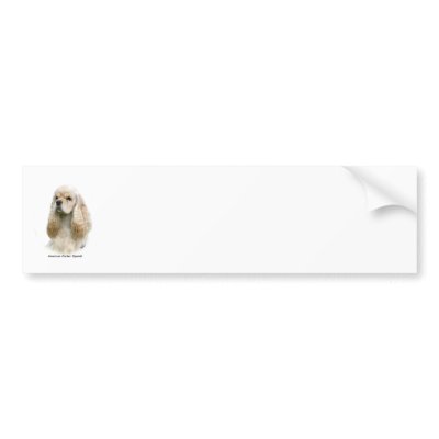 American Cocker Spaniel 9Y244D-035 Bumper Sticker by TraffordPhotos