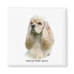 American Cocker Spaniel 9Y244D-035 Magnet