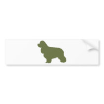 American Cocker Spaniel