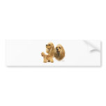 American Cocker Spaniel Bumper Sticker