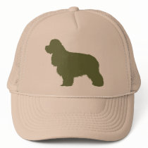 American Cocker Spaniel