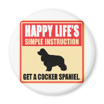 American Cocker Spaniel