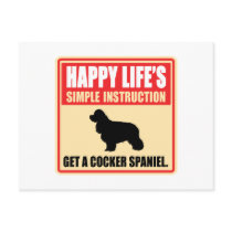 American Cocker Spaniel