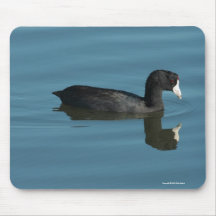 American Coot Mousepad