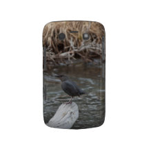 American Dipper Blackberry Cases