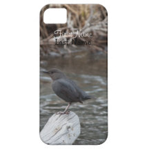 American Dipper; Customizable iPhone 5 Cases
