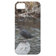 American Dipper; Customizable iPhone 5 Cover