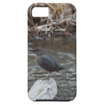 American Dipper; Customizable iPhone 5 Covers