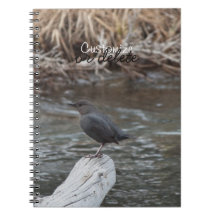 American Dipper; Customizable Note Books
