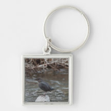 American Dipper Keychain
