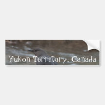 American Dipper; Yukon Territory Souvenir Bumper Sticker