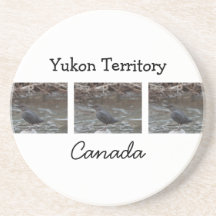 American Dipper; Yukon Territory Souvenir Drink Coaster