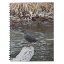 American Dipper; Yukon Territory Souvenir Note Book