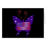American Diva Butterfly