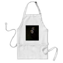 American Eagle Apron