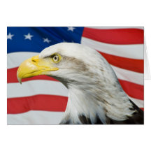 American Eagle Card