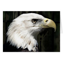 American Eagle Greeting Card
