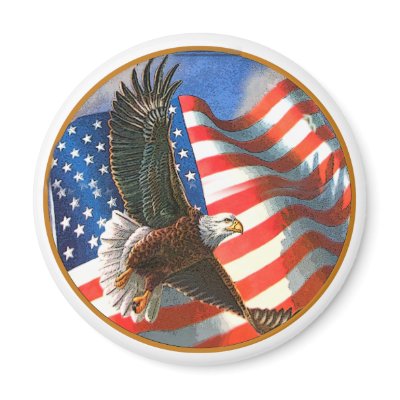 American Eagle in Flight Fridge Magnets by friskybiz