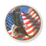 American Eagle in Flight magnets