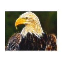 American Eagle Post Cards