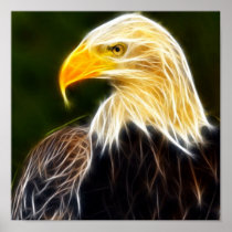 American Eagle Print